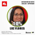 luz flores