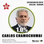 carlos chamochumbi